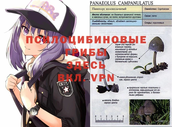 mdma Богданович