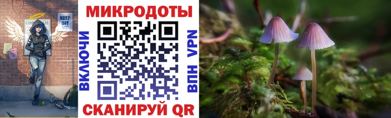 Галлюциногенные грибы Psilocybine cubensis хочу наркоту Череповец